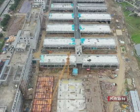 浙閩臺水產(chǎn)城擴建開放在即 九月迎客之際水電安裝進入攻堅階段